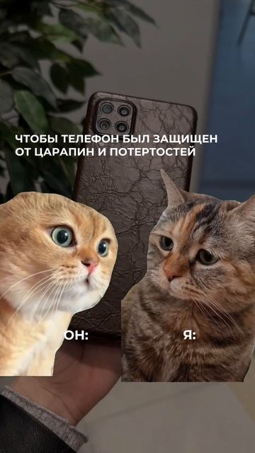 Путь к сердцу женщины лежит через…нет, мы не скажем, что через покрытие @bronoskins смотреть онлайн