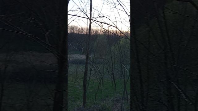 Пчеловод Алексей