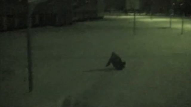 Мультисекс