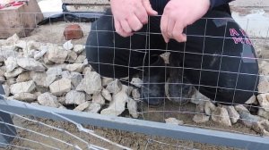 Идея недорогого забора своими руками. Фундамент из габионов вместо бетона