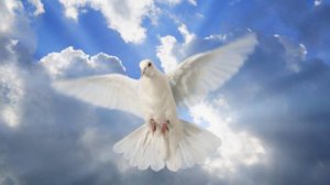 Песня "Дай нам Боже" Кавер