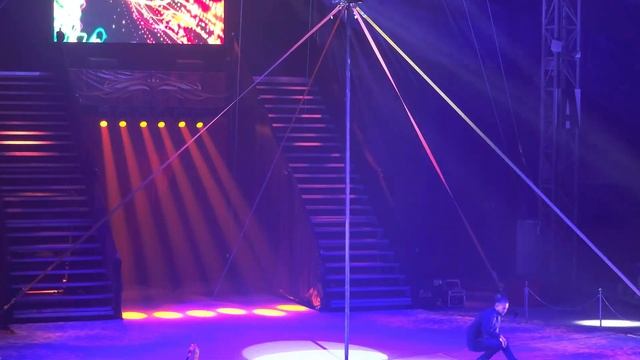 «Кругосветное путешествие Богатыря», 10 лучших цирков