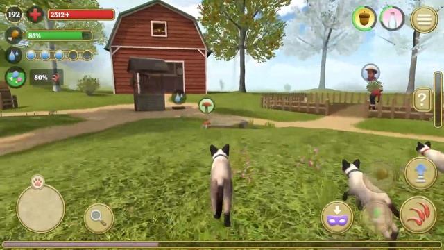 😻Симулятор КОТА и КОШКИ🐾супер БОСС лиса cat sim (кат си? смотреть онлайн