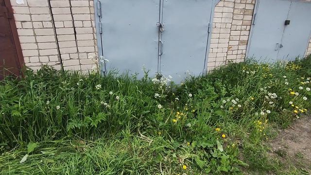 Гараж зарос - исправляем смотреть онлайн
