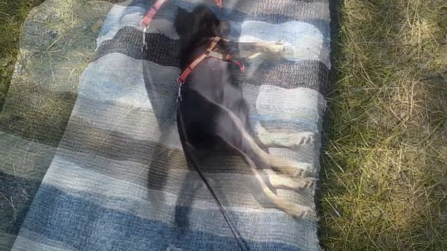 На озере Западном - туризьм