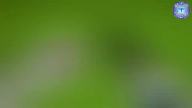 Многофункциональный, кованый, поварской нож от IKKNIFE | Sp смотреть онлайн