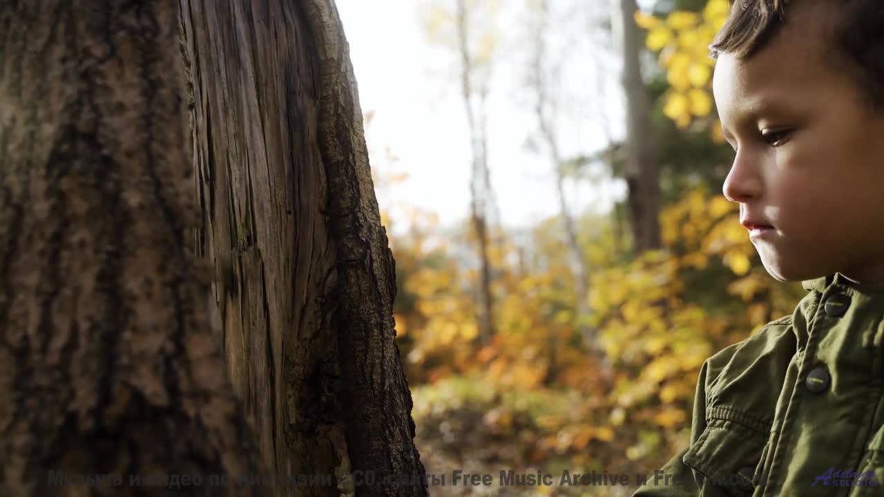 Пейзажи становятся частью души с этим треком - Chainlink Melody -- Podington Bear -- Said Lion To La