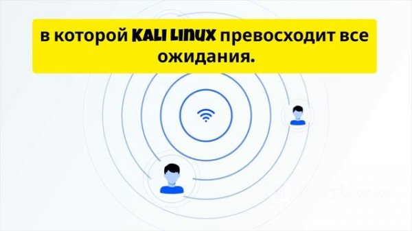 Что такое Kali Linux и как его использовать?