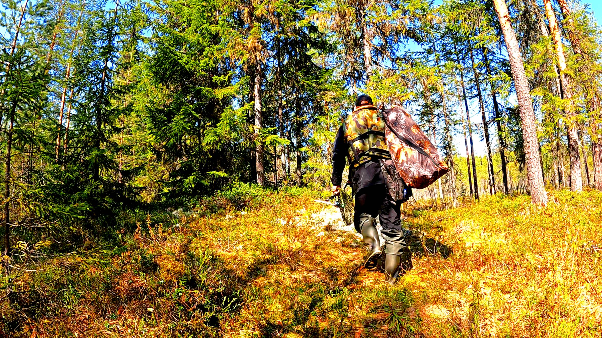 РЫБАК ЗАШЁЛ В ЛЕС НАШЁЛ ОЗЕРО И ОБАЛДЕЛ! РЫБАЛКА В КОНЦЕ МАЯ 2025. РЫБУ ПОЙМАЛ И ПРИГОТОВИЛ. смотреть онлайн