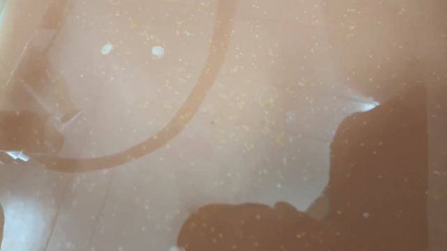 Закат мечты