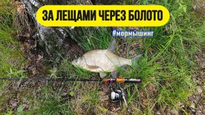 #мормышинг | Через болото и леса за ОГРОМНЫМИ ЛЕЩАМИ |