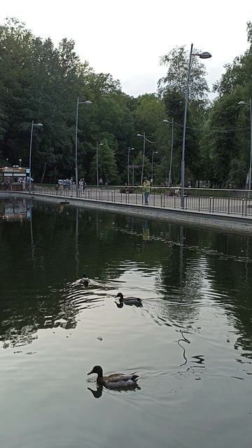 Воронеж, парк Динамо в пятницу вечером смотреть онлайн