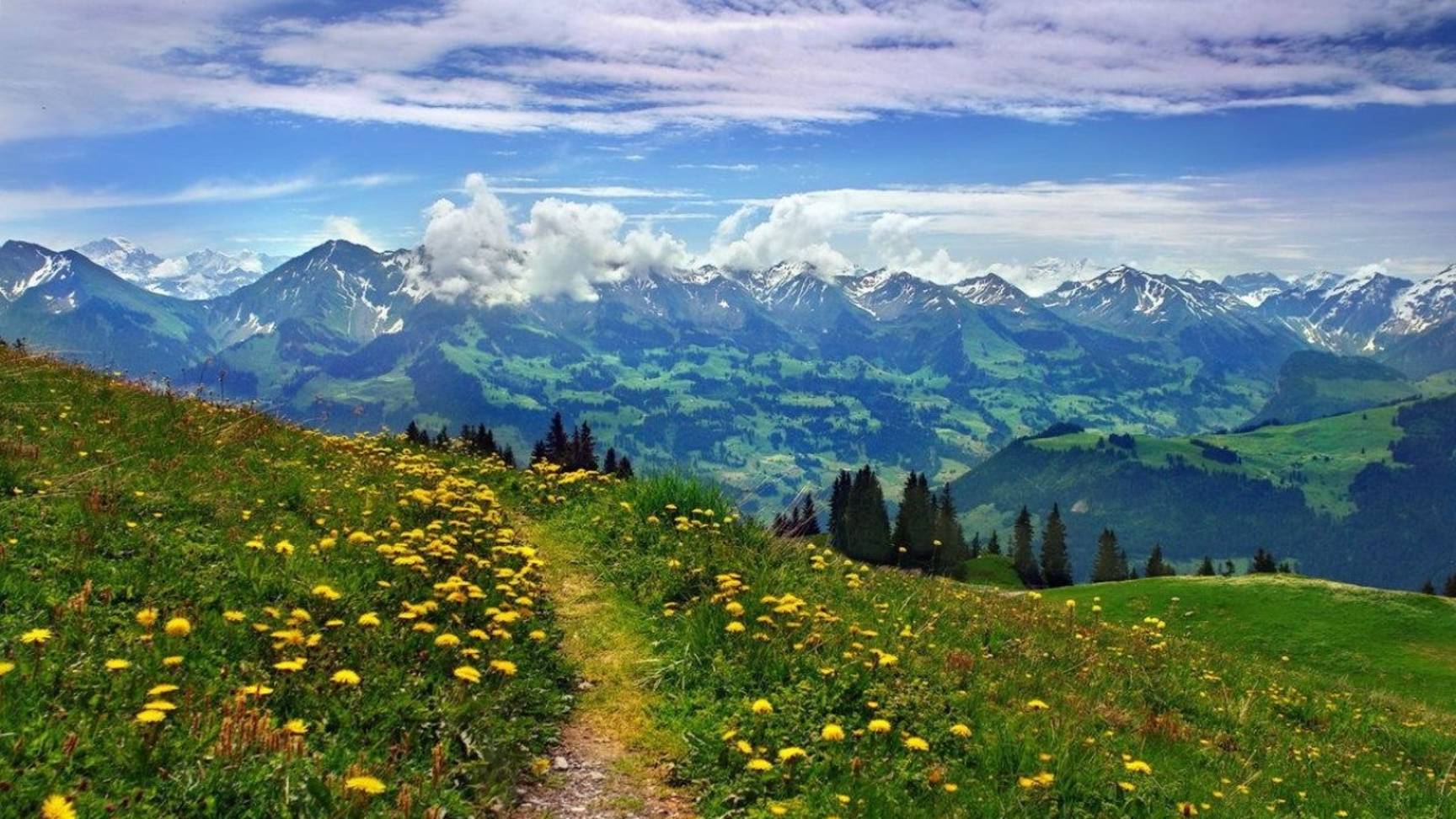 Провокации и безмятежность смотреть онлайн