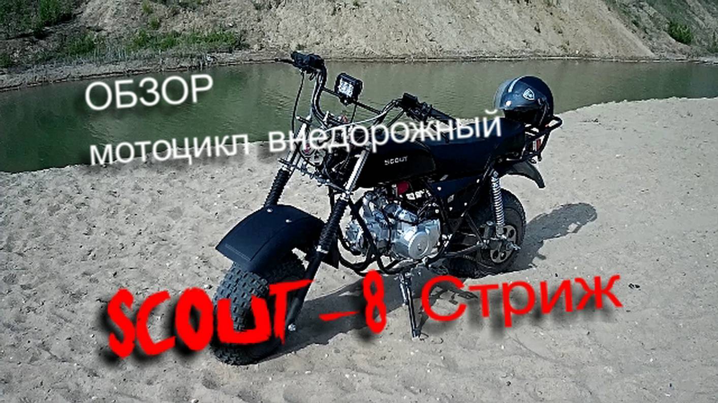 Обзор Скаут-8 Стриж
