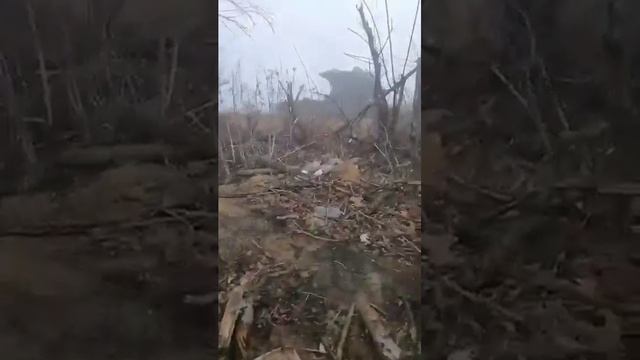 Т-72Б3 ВС РФ с массивным мангалом и тросами по периметру мангала, и БМП-2 с мангалом смотреть онлайн