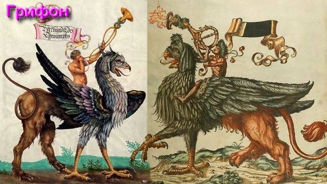 Ответы на Вопросы по Эзотерике от 07.06.25 Часть 3 смотреть онлайн