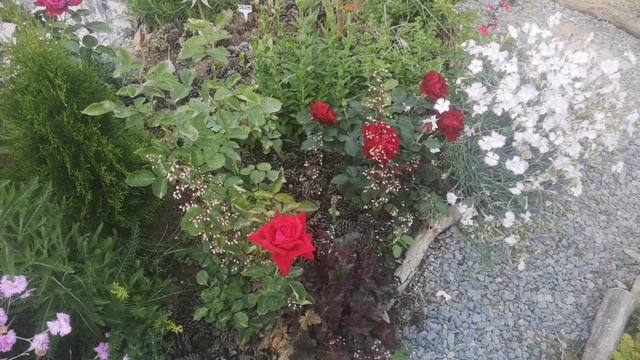 Жаростойкая Омаж а Барбара