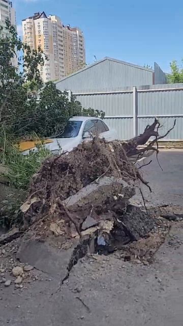 Ураган в Краснодаре♀️, сносит ВСЁ #ураган #ураганкраснодар смотреть онлайн