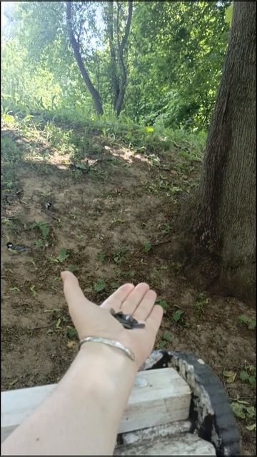 Синица в руках mp4