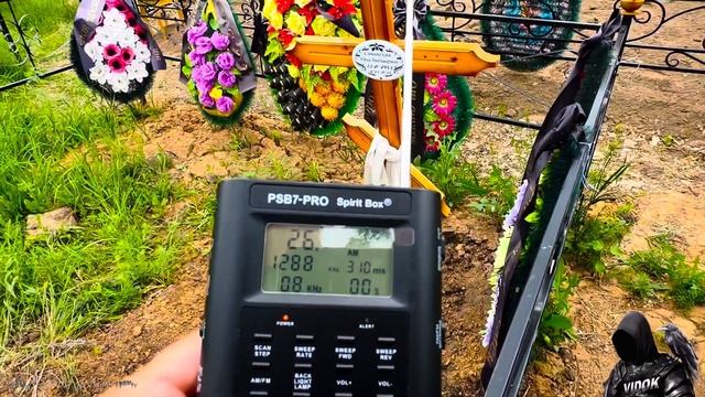 ЭГФ  НА СВЕЖЕМ ЗАХОРОНЕНИИ  - ОТВЕТ БЫЛ ЧЕТКИМ!