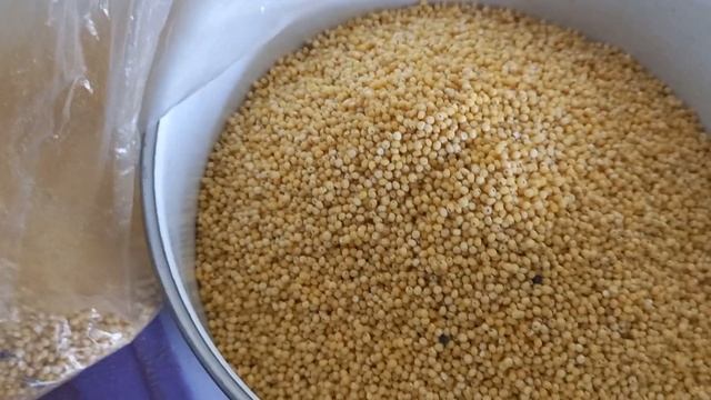 Пшённая крупа - так называется плейлист, для которого ?