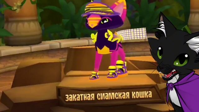 Animal jam январское обновление, закатная сиамская кошка смотреть онлайн