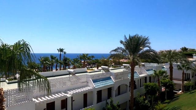 SULTAN GARDENS RESORT 5* Standard Room| номер стандарт #sultangardens #sharmelsheikh #