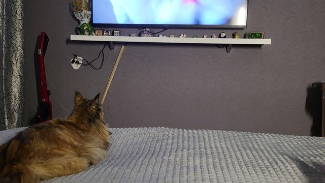 Лежим с Софой /размышляем 😆 смотреть онлайн