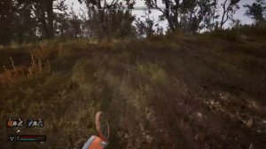 S.T.A.L.K.E.R. 2 Как найти на Залесье уникальные артефакты Ст