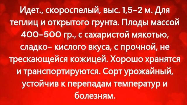 КАТАЛОГ ТОМАТОВ 2024 г, в том числе коллекционные сорта.