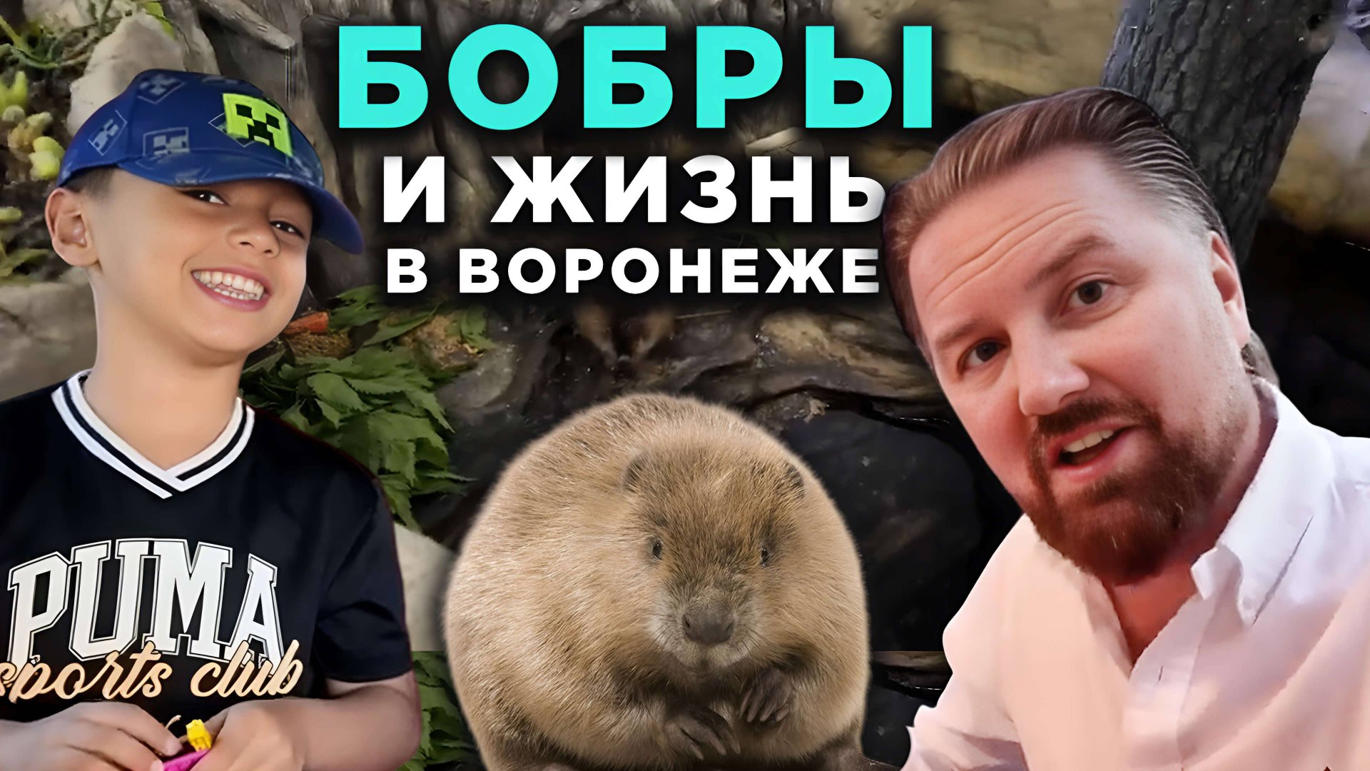 Бобры и жизнь в Воронеже смотреть онлайн