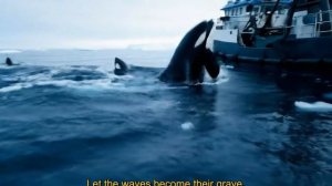 Демократическая Республика Пингвинов - Операция «Косатка»