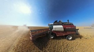 Отзыв о зерноуборочном комбайне Vector 410 и тракторе РСМ 2