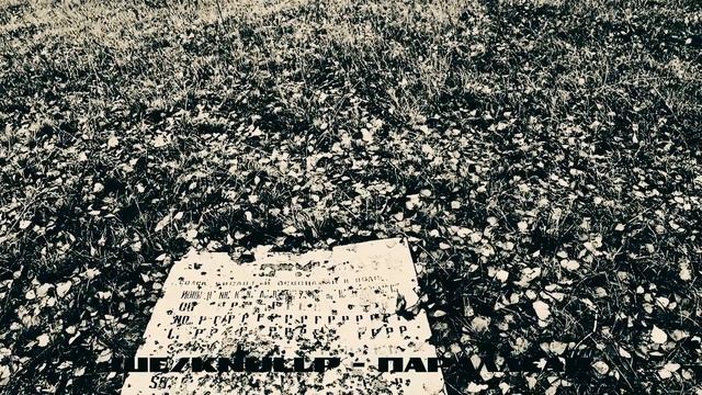 Soma/Ше/kNullp - [...] (2009г.) (Sodoma Rec. Япония) смотреть онлайн