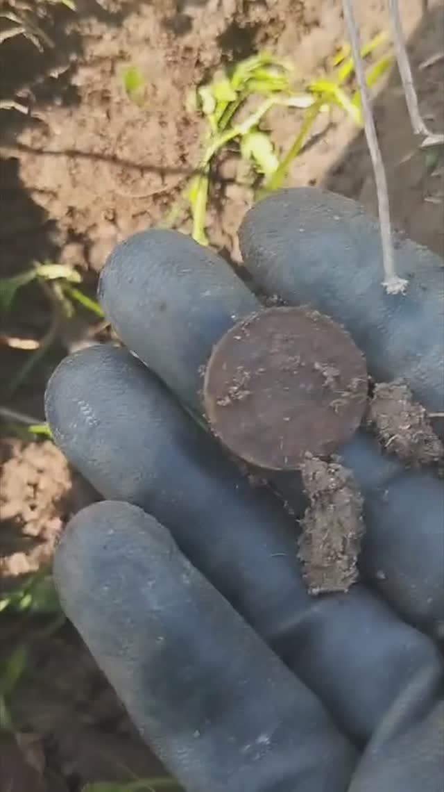 Нашёл небитый хутор и нарвался на находки! смотреть онлайн