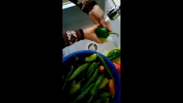 Что делать с замороженным перцем?