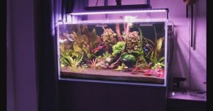 Светильник для аквариума FLOS PRO SMART 900 WRGB на аквариуме 270 литров