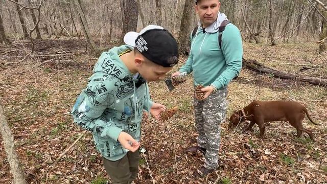 ЛЕСНОЙ ЧЕЛЛЕНДЖ, клещи Vs березовый сок