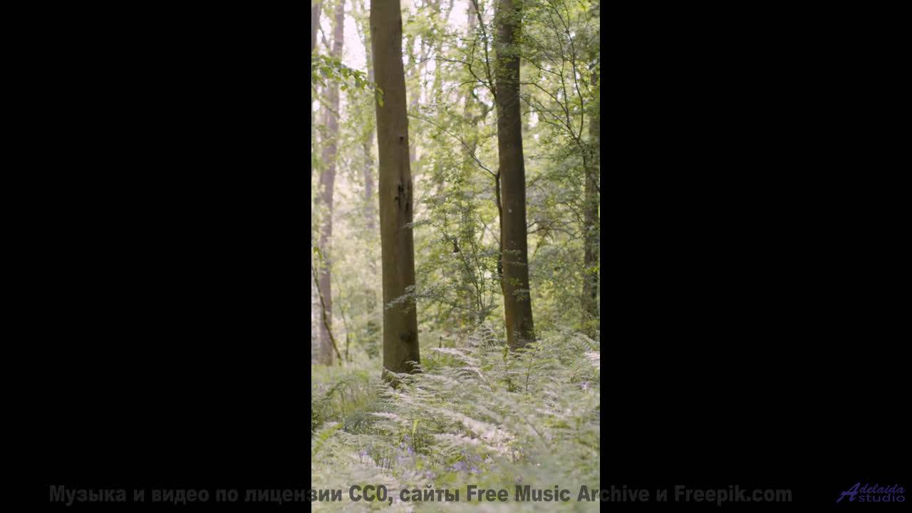 Не включай, если не готов влюбиться в Землю - Temple Procession (ID 1421) -- Lobo Loco -- Spaceforce