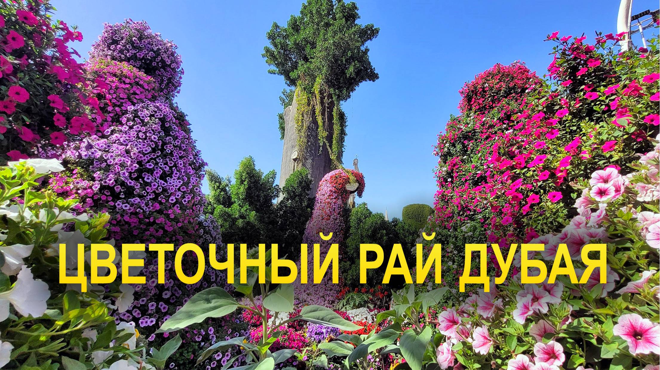 Miracle Garden: Потрясающий Рай Цветов смотреть онлайн