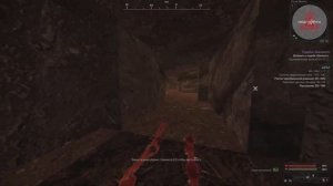 Тайник и квест "Судьба Шинского" в логове Ваганта | Stalcra