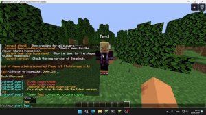 ЛУЧШИЙ ПЛАГИН ДЛЯ ПРОВЕРКИ ИГРОКОВ НА ЧИТЫ, КОТОРЫЙ ИД