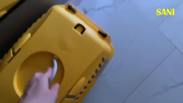 последний день голодной кошки с нашими домашними животными (SANISHOW)