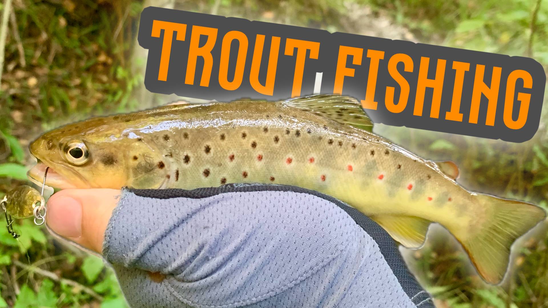 Осенняя TROUT | Форелевый "детский сад" смотреть онлайн