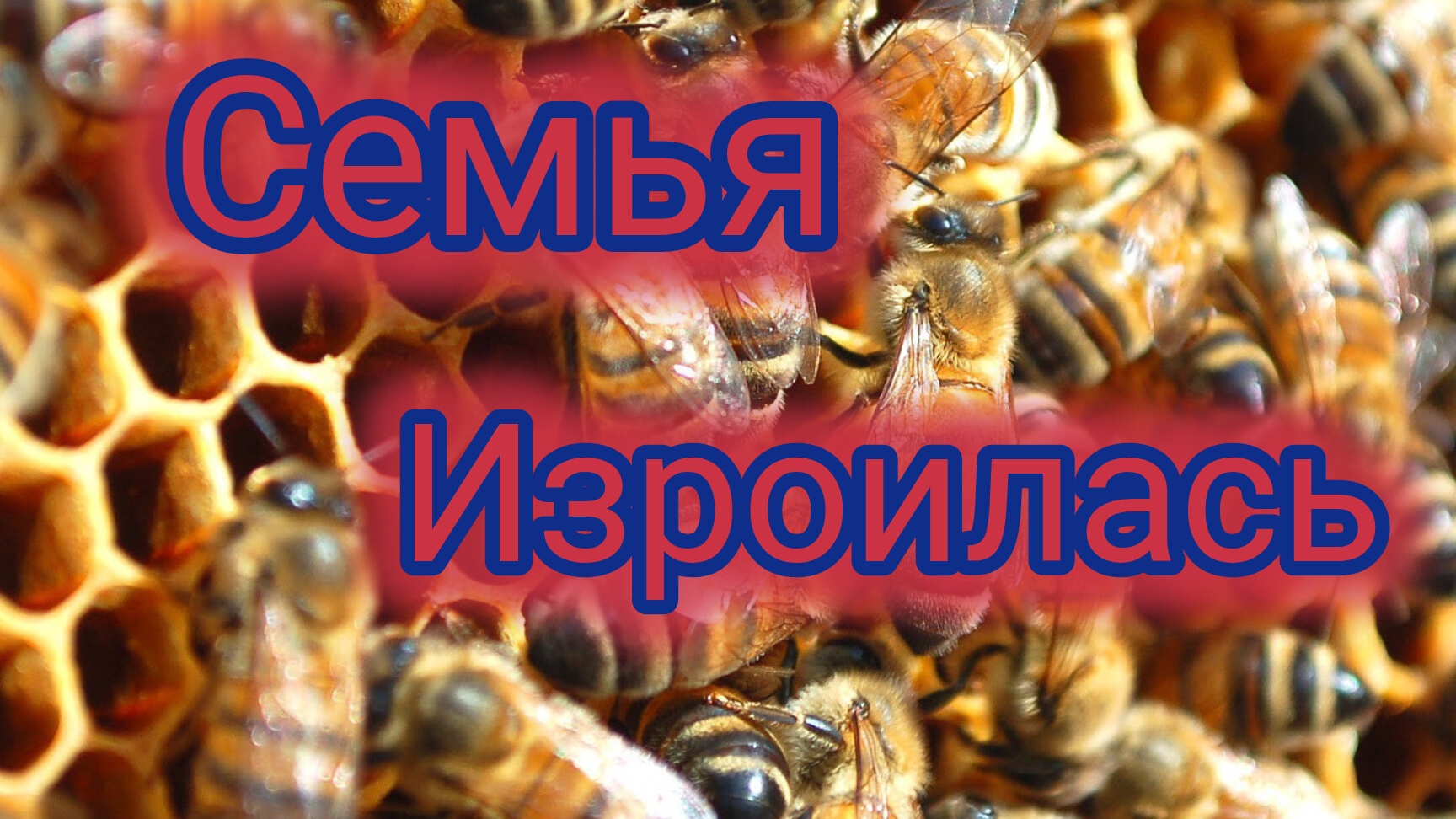 Семья изроилась смотреть онлайн
