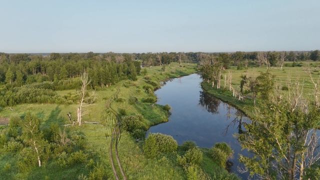 Июньское утро