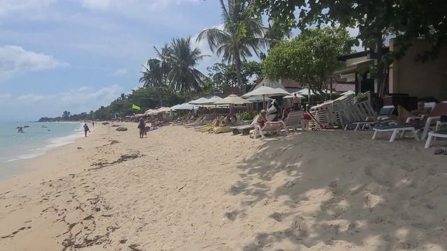 ЖЕСТЬ‼️САМУИ УЖАСНО ГРЯЗНЫЕ ПЛЯЖИ.ТАЙЛАНД 2023 #тайланд #самуи смотреть онлайн