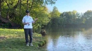 Обзор-сравнение мормо-спиннингов Dayo Prestige, Nautilus Ant и Crazy Fish Nano Zero SE.