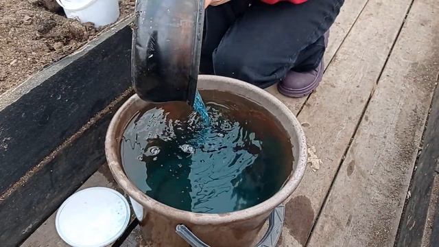 Обработка почвы медным купоросом