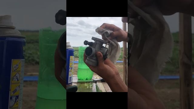 Чистка карбюратора Nibbi PE19